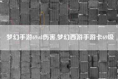 梦幻手游69stl伤害,梦幻西游手游卡69级
