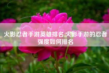 火影忍者手游英雄排名,火影手游的忍者强度如何排名