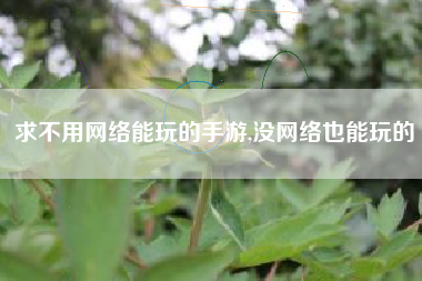 求不用网络能玩的手游,没网络也能玩的
