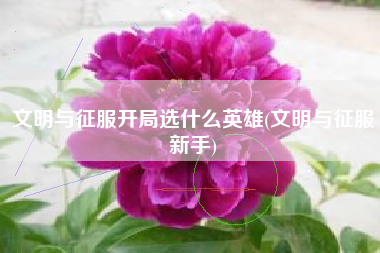 文明与征服开局选什么英雄(文明与征服新手)