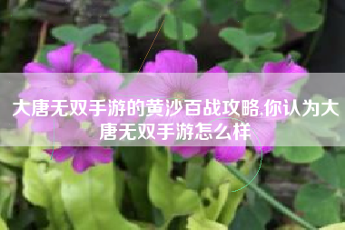 大唐无双手游的黄沙百战攻略,你认为大唐无双手游怎么样