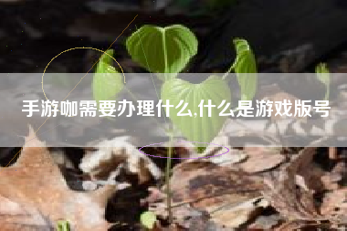手游咖需要办理什么,什么是游戏版号