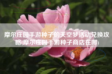 摩尔庄园手游种子的天空梦活动兑换攻略(摩尔庄园手游种子商店在哪)