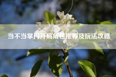 当不当掌门开局角色推荐及玩法攻略