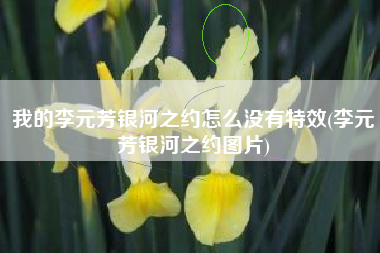 我的李元芳银河之约怎么没有特效(李元芳银河之约图片)