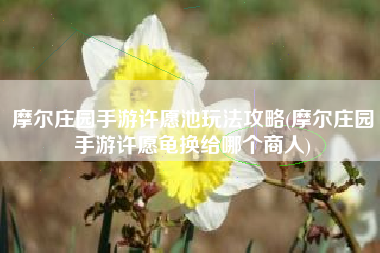 摩尔庄园手游许愿池玩法攻略(摩尔庄园手游许愿龟换给哪个商人)