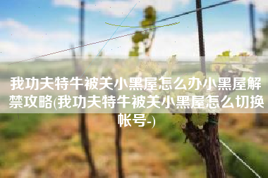 我功夫特牛被关小黑屋怎么办小黑屋解禁攻略(我功夫特牛被关小黑屋怎么切换帐号-)