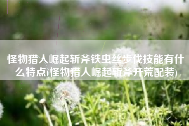 怪物猎人崛起斩斧铁虫丝步伐技能有什么特点(怪物猎人崛起斩斧开荒配装)