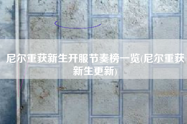 尼尔重获新生开服节奏榜一览(尼尔重获新生更新)