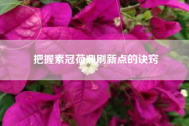 把握素冠荷鼎刷新点的诀窍