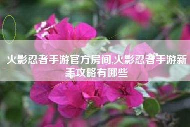 火影忍者手游官方房间,火影忍者手游新手攻略有哪些