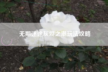无期迷途灰烬之潮玩法攻略
