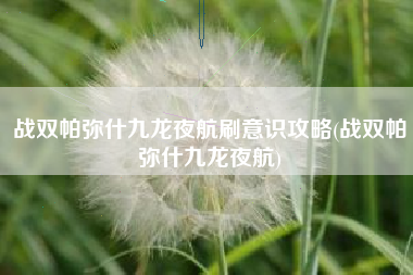 战双帕弥什九龙夜航刷意识攻略(战双帕弥什九龙夜航)