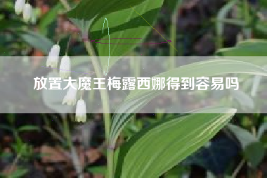 放置大魔王梅露西娜得到容易吗