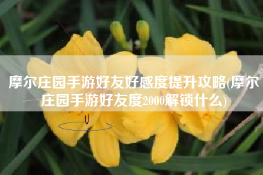 摩尔庄园手游好友好感度提升攻略(摩尔庄园手游好友度2000解锁什么)