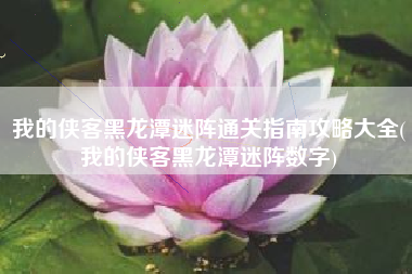 我的侠客黑龙潭迷阵通关指南攻略大全(我的侠客黑龙潭迷阵数字)