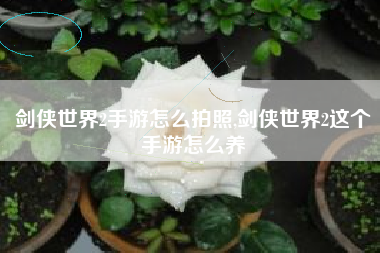 剑侠世界2手游怎么拍照,剑侠世界2这个手游怎么养