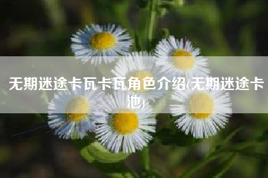 无期迷途卡瓦卡瓦角色介绍(无期迷途卡池)