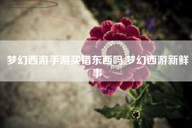 梦幻西游手游买错东西吗,梦幻西游新鲜事