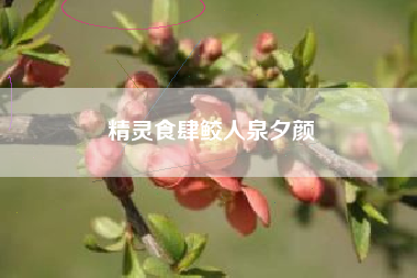 精灵食肆鲛人泉夕颜