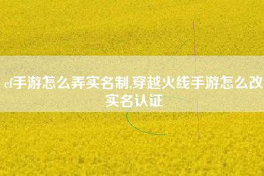 cf手游怎么弄实名制,穿越火线手游怎么改实名认证