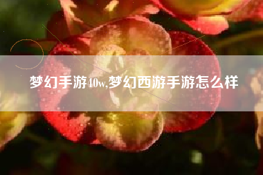 梦幻手游40w,梦幻西游手游怎么样