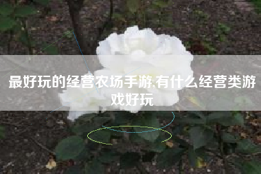 最好玩的经营农场手游,有什么经营类游戏好玩