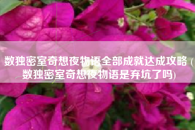 数独密室奇想夜物语全部成就达成攻略 (数独密室奇想夜物语是弃坑了吗)