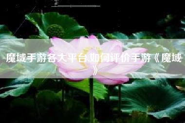 魔域手游各大平台,如何评价手游《魔域》