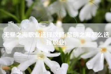 无昼之海职业选择攻略(黎明之海怎么选择职业)