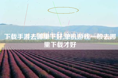 下载手游去哪里下好,单机游戏一般去哪里下载才好