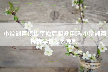 小浣熊百将传李俊后期没用吗(小浣熊百将传李俊怎么克制)