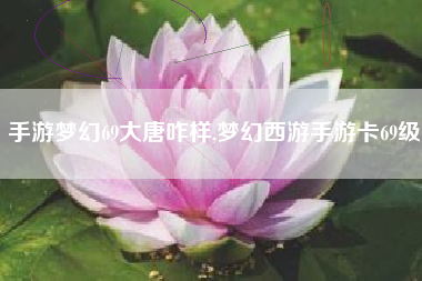 手游梦幻69大唐咋样,梦幻西游手游卡69级