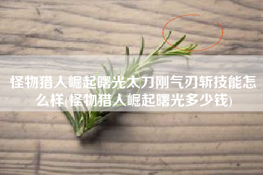怪物猎人崛起曙光太刀刚气刃斩技能怎么样(怪物猎人崛起曙光多少钱)