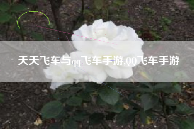 天天飞车与qq飞车手游,QQ飞车手游