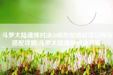 斗罗大陆魂师对决50级地狱蟒蛇落日阵容搭配攻略(斗罗大陆魂师对决官服)