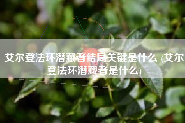 艾尔登法环潜藏者结局关键是什么 (艾尔登法环潜藏者是什么)