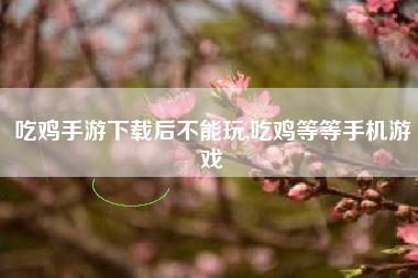 吃鸡手游下载后不能玩,吃鸡等等手机游戏 吃鸡手游下载后不能玩,吃鸡等等手机游戏