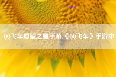 QQ飞车愿望之星手游,《QQ飞车》手游中
