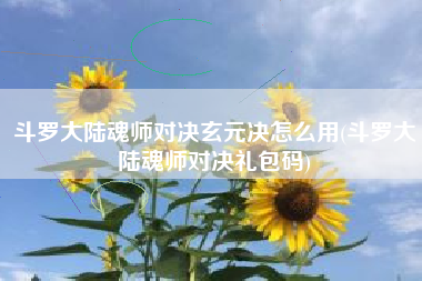斗罗大陆魂师对决玄元决怎么用(斗罗大陆魂师对决礼包码)