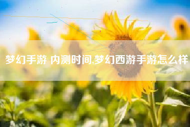 梦幻手游 内测时间,梦幻西游手游怎么样