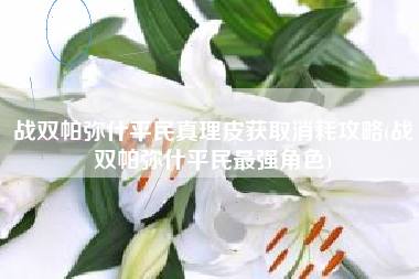 战双帕弥什平民真理皮获取消耗攻略(战双帕弥什平民最强角色)