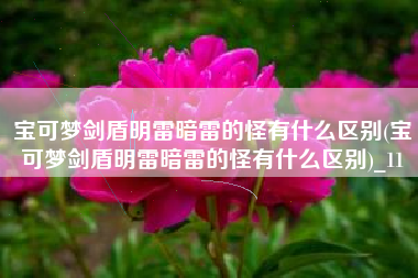 宝可梦剑盾明雷暗雷的怪有什么区别(宝可梦剑盾明雷暗雷的怪有什么区别)_11