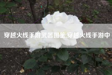 穿越火线手游武器图鉴,穿越火线手游中
