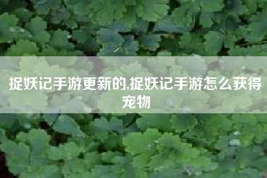 捉妖记手游更新的,捉妖记手游怎么获得宠物