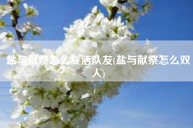 盐与献祭怎么复活队友(盐与献祭怎么双人)