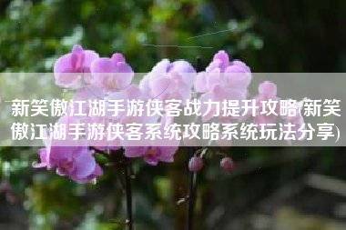 新笑傲江湖手游侠客战力提升攻略(新笑傲江湖手游侠客系统攻略系统玩法分享)