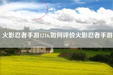 火影忍者手游1216,如何评价火影忍者手游