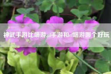 神武手游比端游,cf手游和cf端游哪个好玩