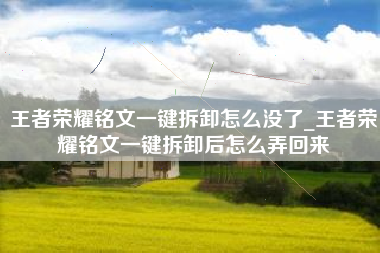 王者荣耀铭文一键拆卸怎么没了_王者荣耀铭文一键拆卸后怎么弄回来